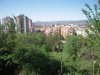 DSCN4096.jpg