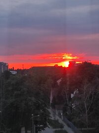 IMG_20210515_195440.jpg