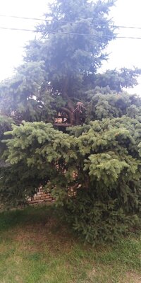 IMG_20210525_163534.jpg