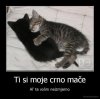 demotivacija.hr_Ti-si-moje-crno-mace-Al-te-volim-neizmjerno_133290659069.jpg