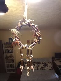 IMG_20210202_112524126.jpg