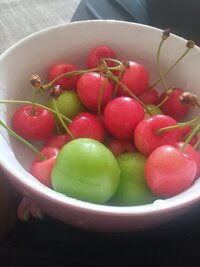 IMG_20210619_181035.jpg