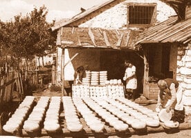 мијачки качкаваљ 1947..jpg