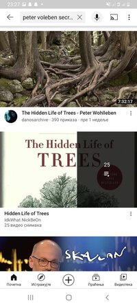 Screenshot_20210717-232756_YouTube.jpg