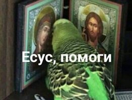 EDv5FExWkAAQgF9.jpg