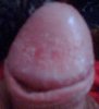 Image036tt.jpg