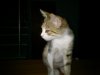 DSC_0054.jpg