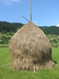 Romanian_hay.jpg