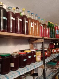 IMG_20210508_101702216.jpg