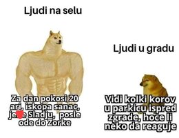 FB_IMG_1626958576283.jpg