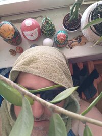 20210622_123303.jpg