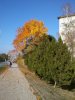 2012-10-22 14.50.21.jpg