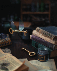 dd7233f13143566f5506fdf1571d60aa.gif