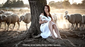 downloadfile-1.jpg