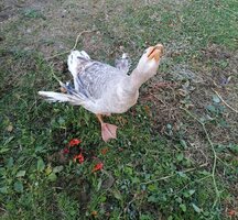 IMG_20211026_224541.jpg