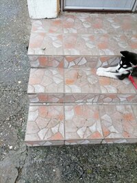 IMG_20210828_164025.jpg