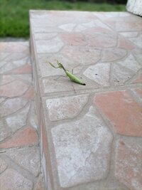 IMG_20210828_163850.jpg