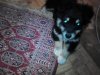 IMG_20130215_030705.jpg