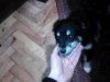 IMG_20130215_030330.jpg