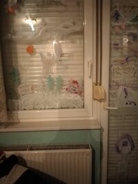 IMG_20211211_202934.jpg