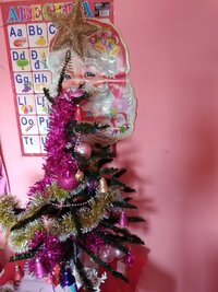 IMG_20211215_141919.jpg