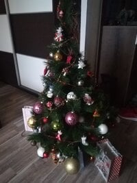 IMG_20211230_080006.jpg
