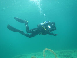 Belocrkvansko jezero 2.jpg