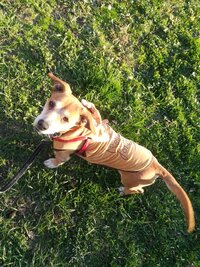IMG_20211120_144348.jpg