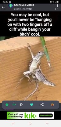 Screenshot_20220221-224734_Imgur.jpg