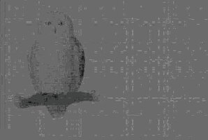 20220225_165834.jpg
