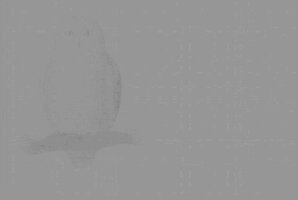 20220225_165736.jpg