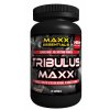 tribulus_maxx3446005d1c7cc9e9f4d3746f01e380b6.jpg