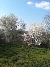 IMG-8d93c53f0603fae3a795005891d23cc8-V.jpg