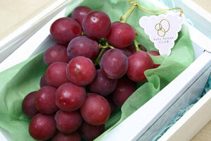 ruby-roman-grapes.jpg