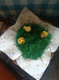 IMG_20220422_162909.jpg