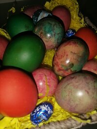 IMG_20220424_095651.jpg