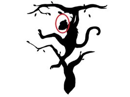 optical-illusion-images.jpg