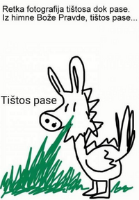 tistos.png