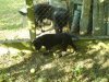 DSC00594.JPG
