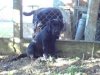 DSC00598.JPG