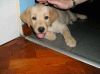 Picture-097.gif