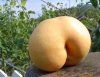 nature_sexy_5.jpg