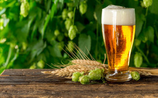 pivo.jpg