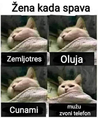 1630962633012.png