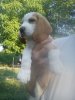 DSC01614.jpg