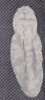 ribnjakvodennikola.jpg