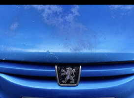 D6549CD3-E2FF-4270-9828-82BB0C4EF883.jpeg