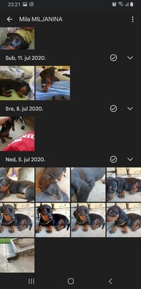 Screenshot_20221215-232158_Photos.jpg