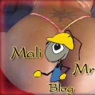 MaliMravBlog