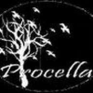 procella